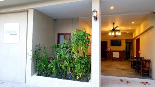 a large green plant in the entry to a building at Dhiffushi Tourist Hotel in Dhiffushi