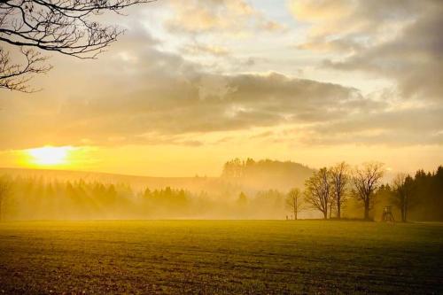 a misty field with the sun setting in the background at Chata Rychnovanka in Zdobnice