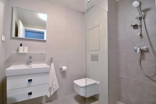 a bathroom with a shower and a toilet and a sink at BRIS Apartment, 1-2 guests, Free Parking & Wifi, 4km Downtown, Bratislava in Nivy