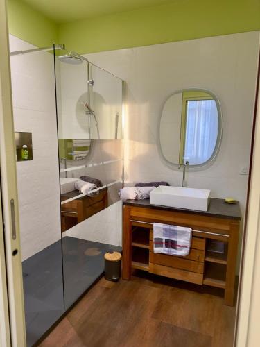 une salle de bain avec une douche, un lavabo et un miroir dans l'établissement T2 standing de La tour jayan, à Agen