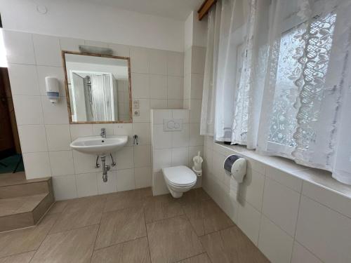 a bathroom with a toilet and a sink at Mountain Hotel & Hostel in Ramsau am Dachstein