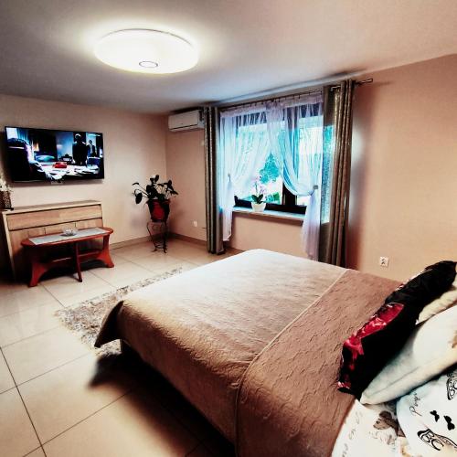 Televisyen dan/atau pusat hiburan di Apartamenty u Maksa