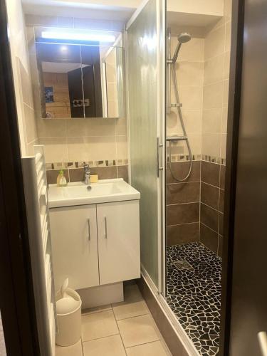 une salle de bain avec une douche, un lavabo et un miroir dans l'établissement Résidence Les Bergers - Studio cabine 4 personnes 2 exposé Ouest MAE-7581, à Valloire