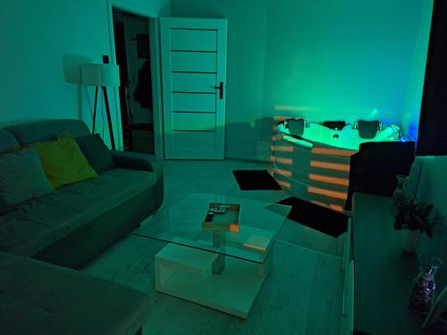 a living room with a couch and a table at Apartament z jacuzzi w centrum Katowic in Katowice