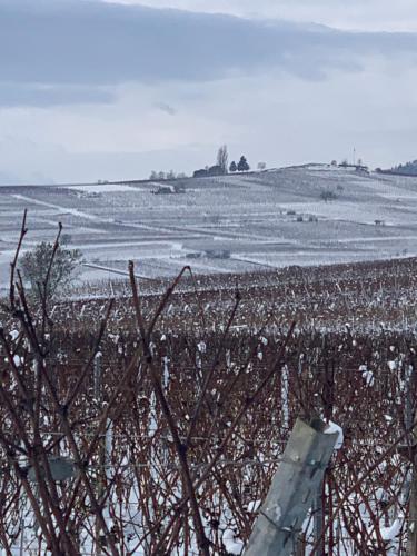 a field with snow on the ground and a fence at la parenthèse in Beblenheim