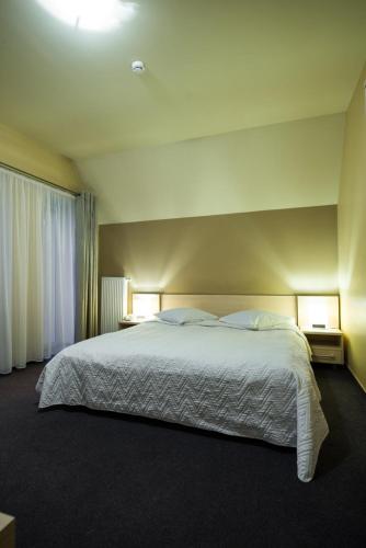 Postel nebo postele na pokoji v ubytování Hotel Audenis