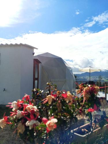 a bush with flowers in front of a tent at Hospedaje Mafer in Guatavita
