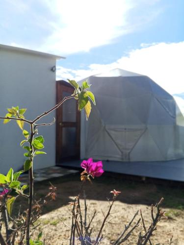 a flower in front of a house with a tent at Hospedaje Mafer in Guatavita