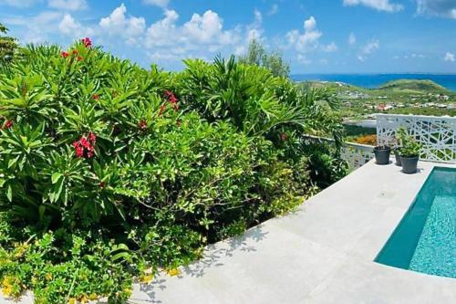a balcony with a swimming pool and some plants at Prestigious Villa & Apartment Marewa with Breathtaking Ocean View - Saint Martin French Side in Grand Case