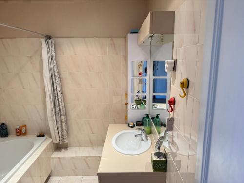 une salle de bain avec un lavabo et une baignoire dans l'établissement La Ruche Jean Jaurès, à Nancy