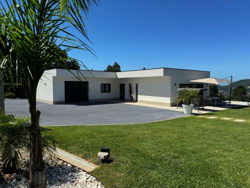 a house with a palm tree in front of a yard at Whitescape Casa de Férias in Ponte de Lima