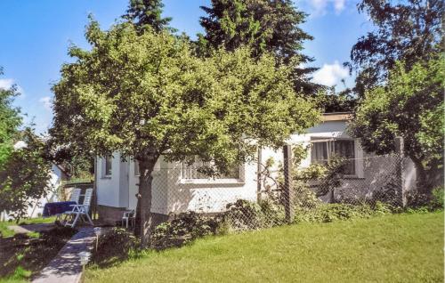 a small white house with a tree in the yard at Ferienhaus Krakow Am See in Krakow am See