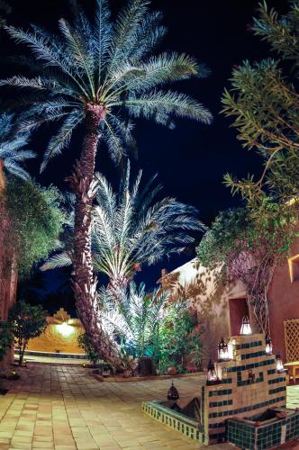 a palm tree in a garden at night at Dar Sofar in Agdz