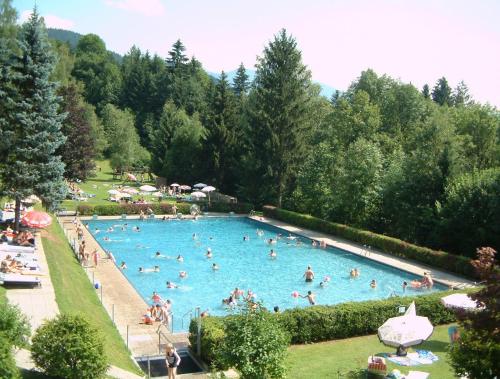 Foto dalla galleria di Ferienhaus Höllwart a Pfarrwerfen