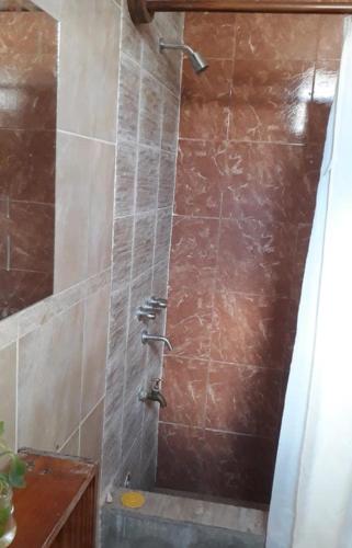 a shower in a bathroom with a brown tile wall at La casa de Piscis in Termas de Río Hondo