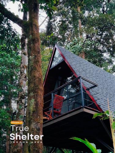 a tree house in a forest with a red chair at Forestscape Resort Munnar in Munnar