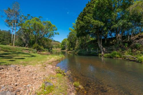 a river with trees on the side of it at Lumeah by the Creek in Whian Whian