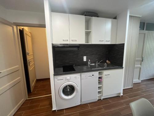 une cuisine avec une machine à laver et un évier dans l'établissement Châtel : Appart 6 pers, Parking, Accès WIFI - FR-1-198-267, à Châtel