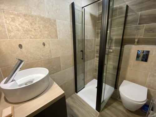 une salle de bain avec un lavabo, une douche et des toilettes dans l'établissement Appartement rénové avec terrasse et parking à Cauterets - FR-1-812-71, à Cauterets