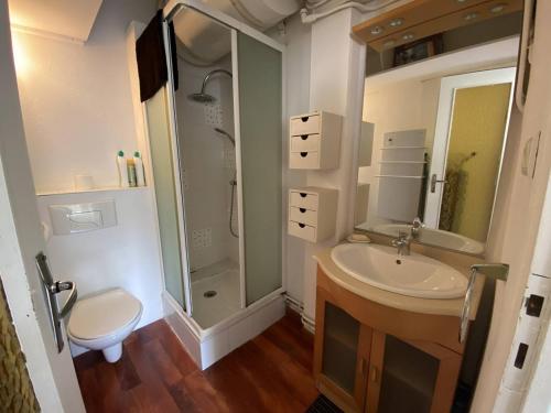 une salle de bain avec un lavabo, une douche et des toilettes dans l'établissement Studio cosy pour 4 près des Thermes et télécabines - FR-1-812-85, à Cauterets