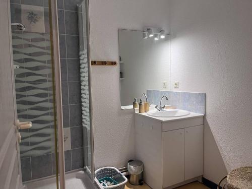 une salle de bain avec un lavabo et une douche avec un miroir dans l'établissement T2 Cauterets: Parking, Wifi, Animaux admis - FR-1-812-105, à Cauterets