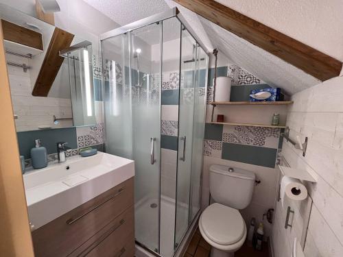 une salle de bain avec une douche, des toilettes et un lavabo dans l'établissement Charmant chalet 4 pers. à Cauterets avec parking - FR-1-812-113, à Cauterets