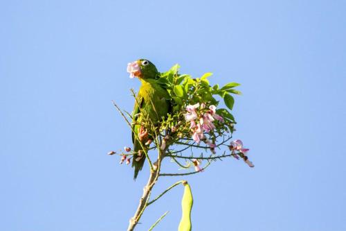 パロミノにあるJui Chi MaMa Ecolodge & Birdingのギャラリーの写真