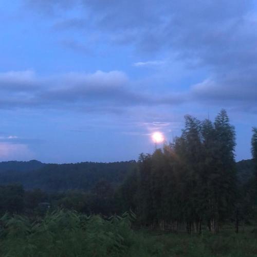 a sun rising over the trees in a field at zen mountain farmstay in Mae Wang