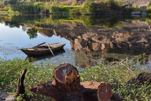 a boat sitting in the water next to a tree stump at ASSINGAR camp in Jazīrat Suhayl