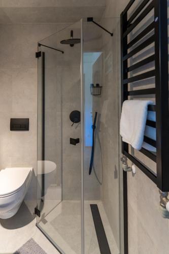 a glass shower in a bathroom with a toilet at Base Camp Pieniny in Niedzica