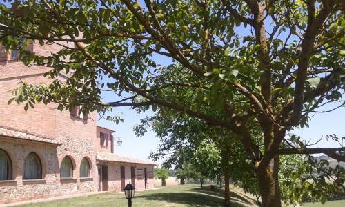 a tree in front of a building with a street at Agriturismo Chieteno con piscina e AC- Cetona in Cetona