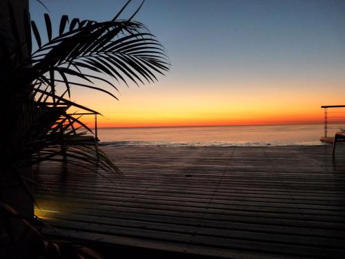 a sunset on the beach with a palm tree at Atlanticview Cape Town Boutique Hotel in Cape Town