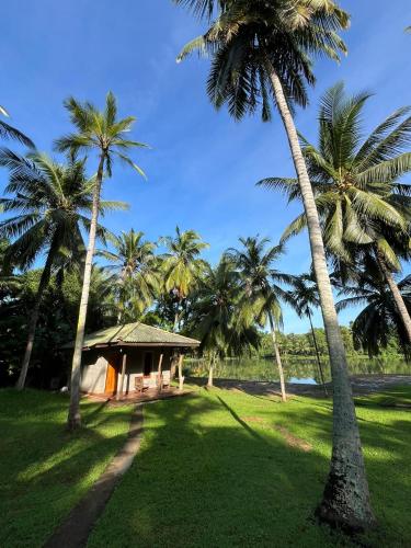 a house with palm trees in front of a field at Yonan River Face Safari Resort in Udawalawe