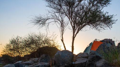 a tree behind a pile of rocks and a tent at ASSINGAR camp in Jazīrat Suhayl