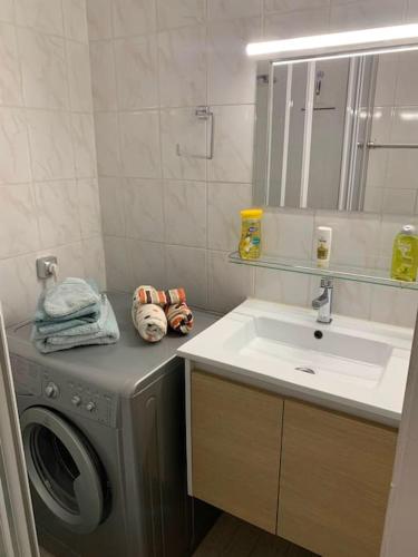 une salle de bain avec une machine à laver et un lavabo dans l'établissement Studio agréable & lumineux proche hôpital Pasteur, à Nice