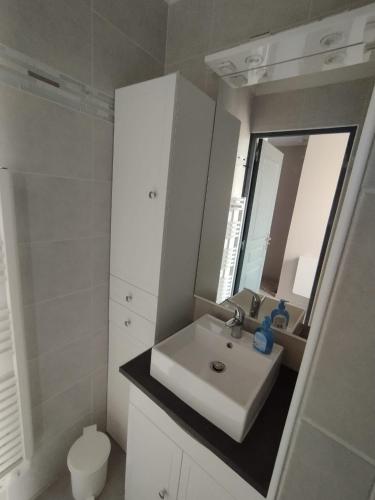 une salle de bain avec un lavabo blanc et un miroir dans l'établissement Maison Montebello, à Sézanne