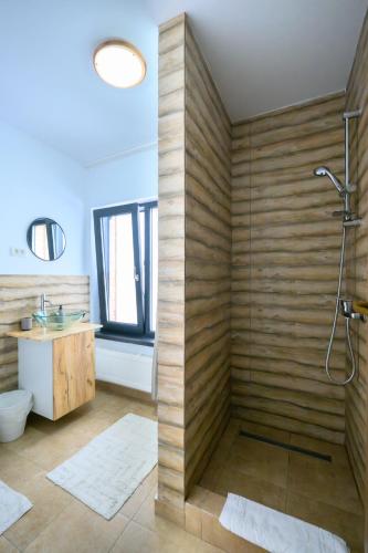a bathroom with a shower and a toilet and a sink at Bran Mountain Living in Bran