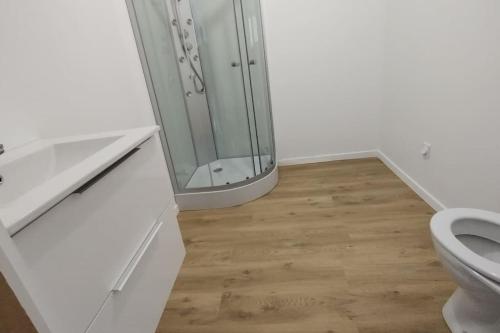 une salle de bain avec toilettes et douche en verre dans l'établissement Appartement à la campagne, à Commer