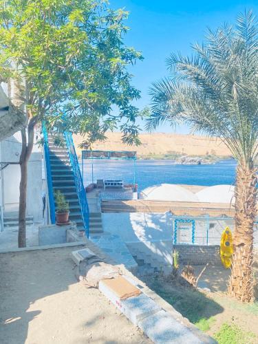 a pool with stairs and palm trees next to the water at Nile View Guest House in Aswan