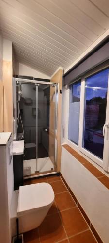 une salle de bain avec toilettes et douche en verre dans l'établissement RINALDI 57 Maison typique du Pont Vieux, à Albi