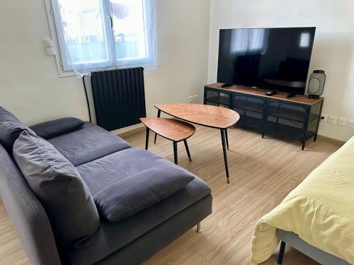 TV a/nebo společenská místnost v ubytování Espace ouvert et lumineux