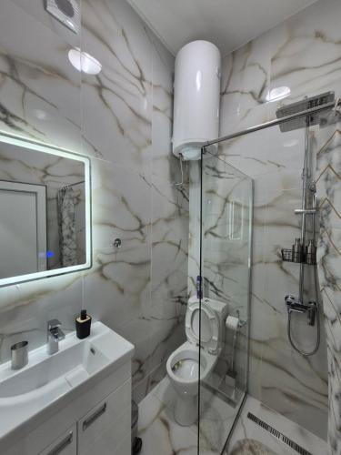 a bathroom with a shower and a toilet and a sink at Authentic Belgrade Centre - 7 suites for 15 Guests, with patios in courtyard for smokers in Belgrade