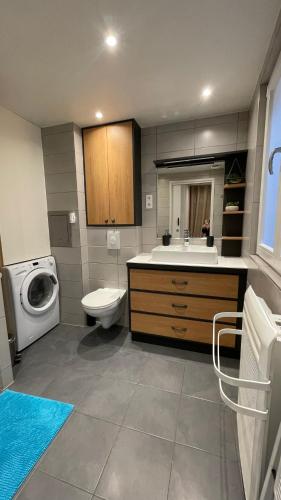 La salle de bains est pourvue d'un lavabo, de toilettes et d'un lave-linge. dans l'établissement Grand 5 pièces Petite France, à Strasbourg