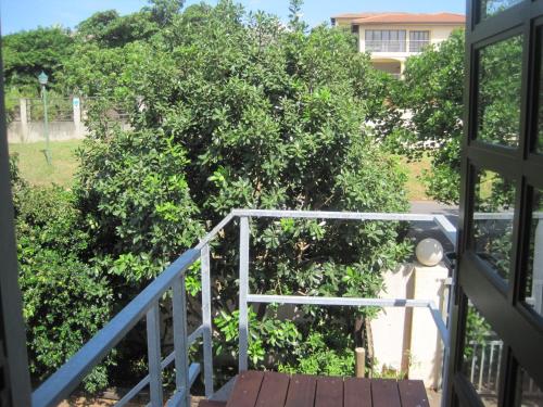 a view of a tree from the stairs of a house at 59 On Gail in Ballito
