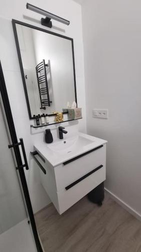 a bathroom with a white sink and a mirror at Kleinhauszeit Tiny House in Wohlen