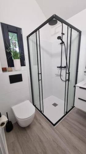 a bathroom with a white toilet and a shower at Kleinhauszeit Tiny House in Wohlen