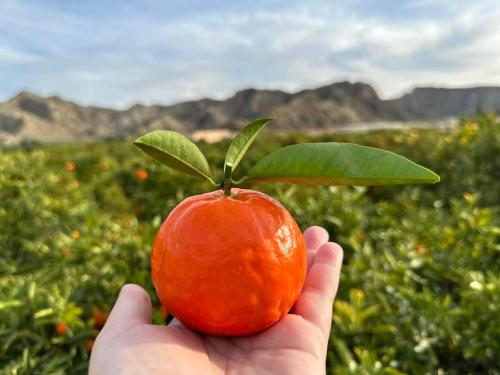 Příroda nedaleko prázdninového domu