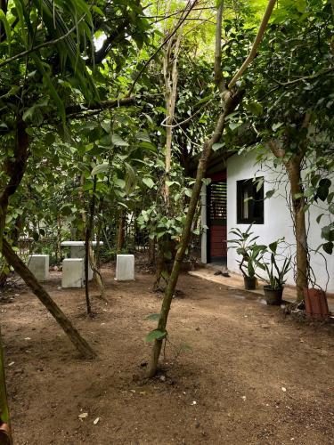 a small white building in the middle of trees at Jungle Nook Hiriketiya in Hiriketiya