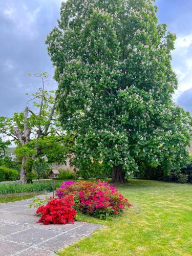 a large tree with flowers in a park at La Maison Gavraise in Gavray