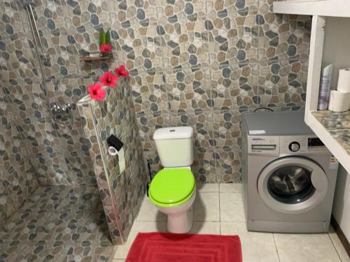 a bathroom with a green toilet and a washing machine at KoriKori House Fakarava I in Fakarava